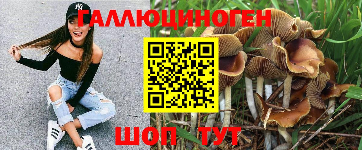 Псилоцибиновые грибы мухоморы  Галлюциногенные грибы мухоморы  цена наркотик  Вход с VPN  Анжеро-Судженск 