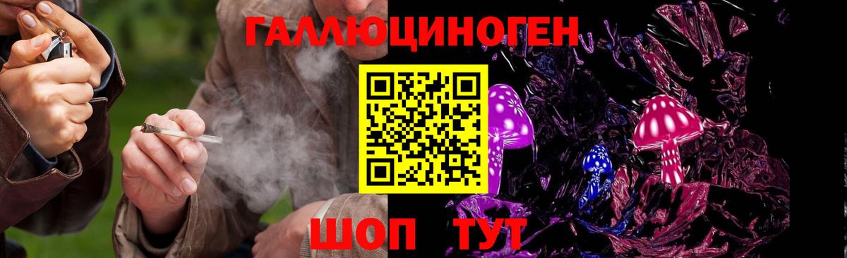 Псилоцибиновые грибы мицелий Анжеро-Судженск